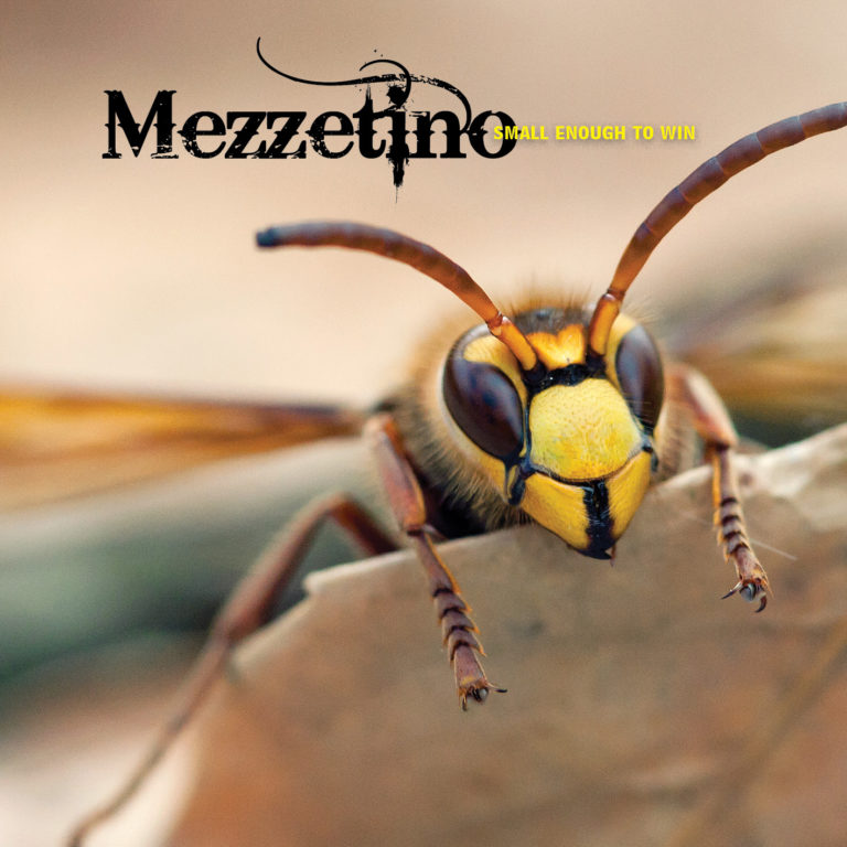 CD Cover Design Example 1